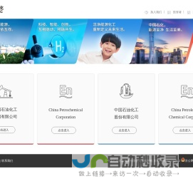 中国石化